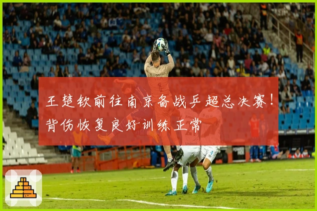 王楚钦前往南京备战乒超总决赛！背伤恢复良好训练正常